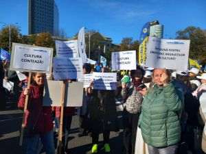 Federaţia CulturMedia: Reducerea indemnizaţiei de doctor afectează sectorul cultural şi media