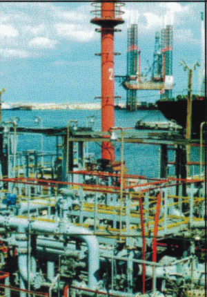 Trei acţionari minoritari solicită aplicarea votului cumulativ la "Oil Terminal"
