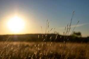 Study: Global warming has accelerated since 2015