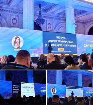 Index PEFA: Femeile-antreprenor generează un sfert din PIB-ul României