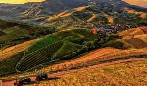 Agricultura digitală câştigă teren în ţara noastră: tehnologia devine aliatul fermierilor în faţa schimbărilor climatice