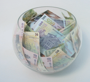 Peste 700.000 de lei pentru dezvoltarea resurselor umane din industria lemnului