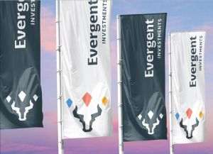 EVERGENT Investments anunţă un rezultat net record de 378 milioane lei şi convoacă Adunările generale ordinară şi extraordinară