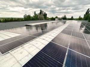 Greenvolt Group şi-a dublat veniturile în 2025 şi a revenit pe profit