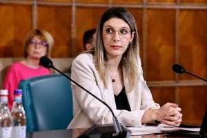 Diana Buzoianu: ”Această criză fabricată în laboratoarele de la Bucureşti şi de la Moscova, deja îi costă pe români”
