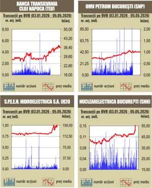 Căderea Guvernului adânceşte deprecierea leului; BVB a închis pe plus