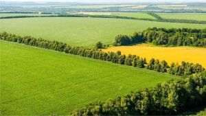 Autostrada A7 - coridor verde, după plantarea celor peste 600 de hectare de perdele forestiere