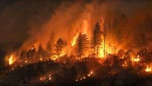 Avertisment: 2026 - posibil să aducă unul dintre cele mai severe sezoane de incendii de vegetaţie din istoria recentă