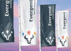 EVERGENT Investments raportează un rezultat net de 186.8 milioane de lei în T1 2026