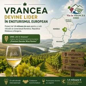 Vrancea devine lider în enoturismul European