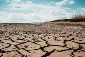 Astronaut Sophie Adenot: "From space we see the drought that is setting in on Earth"
