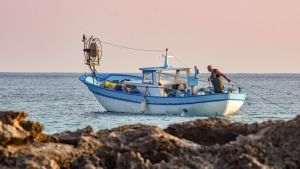 FAO: Producţia globală în domeniul pescuitului şi acvaculturii a atins un nivel record