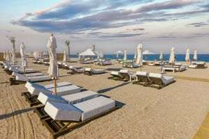 OMD Mamaia Constanţa lansează un ghid practic de marketing digital