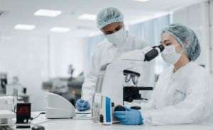 US researchers develop experimental cancer therapy based on bacteria inside tumors