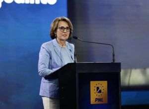 Nicoleta Pauliuc a cerut prelungirea termenului pentru TVA
