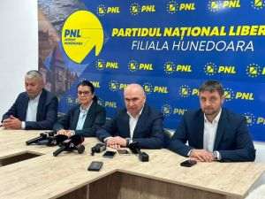 PNL: Suspendarea hotărârilor Guvernului, la cererea PSD, afectează persoanele cu dizabilităţi