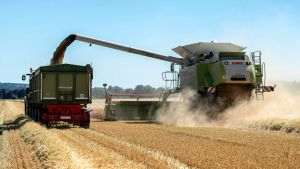 LAPAR: Transit of Ukrainian grains through our country must be strictly monitored