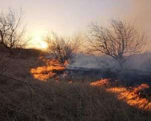 SUA: Aproximativ 90.000 de persoane, evacuate din calea incendului de vegetaţie ”Hawk”