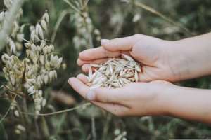 Euractiv: Tensiunile din Marea Neagră, seceta şi criza din Strâmtoarea Ormuz pun presiune pe securitatea alimentară globală