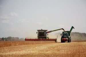 Alianţa pentru Agricultură şi Cooperare le cere eurodeputaţilor să voteze suspendarea CBAM pentru fertilizanţi în situaţii de criză