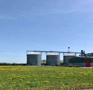 Reuters: Criza din Golf ar putea creşte producţia mondială de biocombustibili cu aproape 70% până în 2030