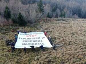 Agent Green reclamă la Comisia Europeană sacrificarea Semenicului pentru un domeniu schiabil cu viitor climatic neverificat