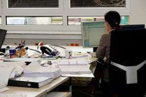 INS: Costul mediu lunar al forţei de muncă a fost de 9.126 lei pe salariat în 2025
