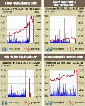 Aprecieri pentru indici, înaintea deciziei S&P