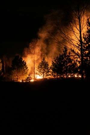 Incendiile de vegetaţie ard zeci de hectare în Timiş şi Teleorman