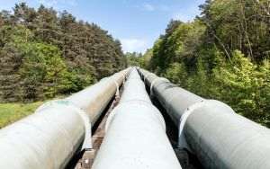 AFP: Rusia a folosit gazoductele Nord Stream ca armă de presiune politică şi economică