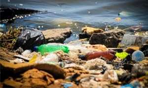 Global Treaty Against Plastic Pollution Hits a Deadlock