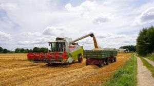 Reuters: Importurile de porumb ale UE au crescut cu 40% în acest sezon. România, cel mai mare exportator de grâu