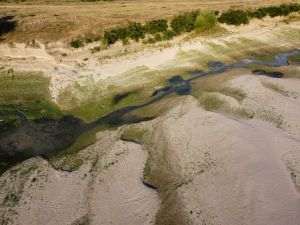 WWF: Peste jumătate dintre companiile din Europa Centrală şi de Est se aşteaptă la probleme legate de apă