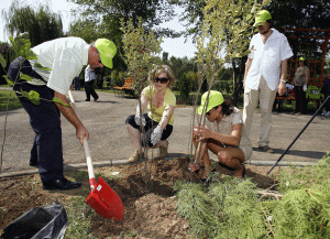 Dulcolax ne invită să plantăm un copac. Căci aşa cum o veche vorbă românească spune, omul e om dacă a plantat un copac în viaţa lui, dacă a construit o casă sau a crescut un copil.