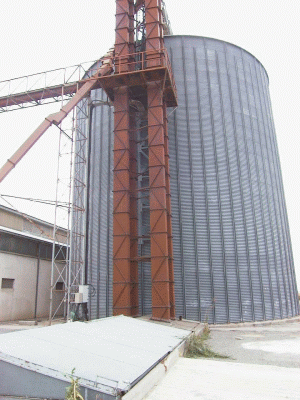Planul anti-criză a permis Grupului Agricover să realizeze un profit în creştere cu 24% în primele trei trimestre ale anului în curs la 17,7 milioane lei.