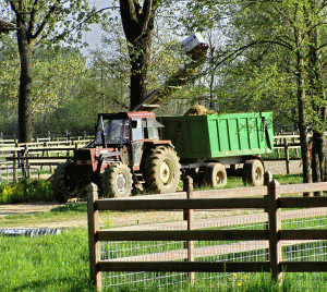 Good.bee Credit vrea să finanţeze afacerile în mediul rural