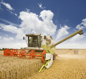 Un agricultor are toate şansele să-şi dezvolte afacerea, optând pentru forma de finanţare potrivită nevoilor sale.