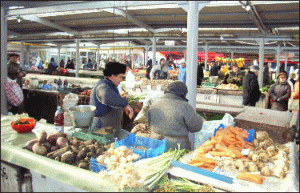 Redresarea economică în 2010 nu este garantată