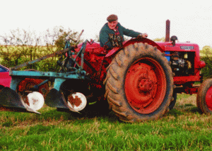 Fermierii au solicitat acordarea subvenţiilor pentru o suprafaţă totală de aproape 177.400 de hectare.