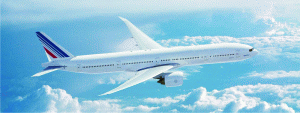 IATA a avertizat că preţul ridicat al combustibililor poate pune în pericol relansarea industriei aeronautice. IATA mizează pe un preţ mediu al barilului de petrol de 79 de dolari.
