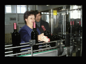 Preferinţele consumatorilor migrează spre preţurile economice, context în care producătorii trebuie să vândă vin de calitate la preţuri mici.