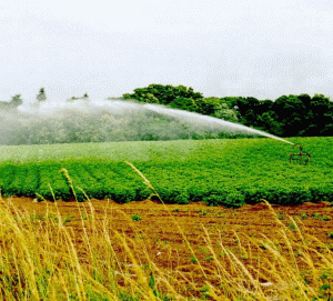 Ministerul Agriculturii verifică cum s-au drenat banii de inundaţii