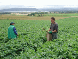 620.000 lei pentru sprijinirea asociaţiilor agricole, în 2007