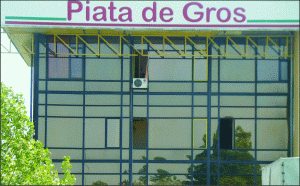 Camelia Şucu has acquired the "Wholesale market" from the Romanian state