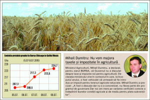Speculatorii au prins gustul cerealelor