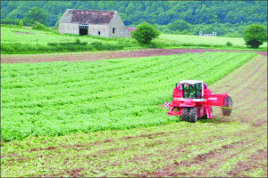 Experţii CE participă la definitivarea Programului de Dezvoltare Rurală, în mai 