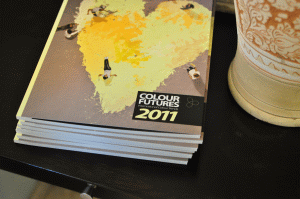 Akzo Nobel lansează în ţara noastră culoarea anului 2011