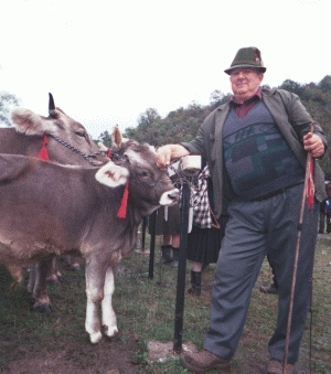 Cum ne facem, singuri, laptele praf...