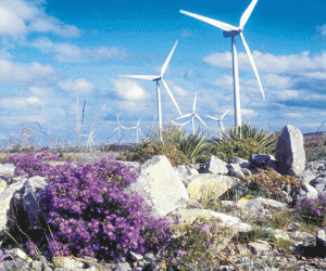 Regenerabilele ne scumpesc energia