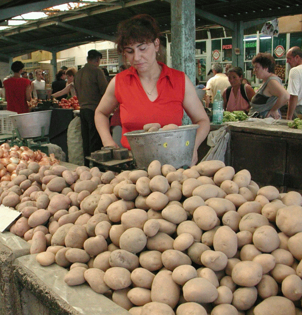 Deficitul din agricultură se va adânci, în 2013